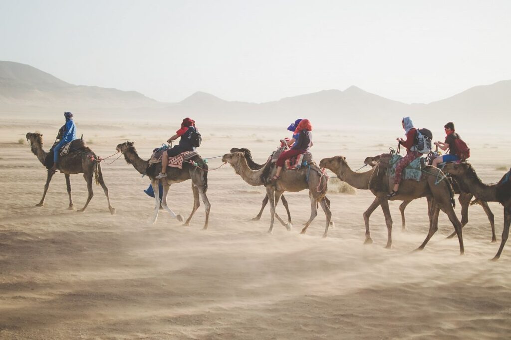 Doing Camels race in dubai